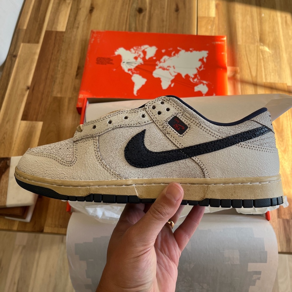 Nike dunks STRANGER THINGS